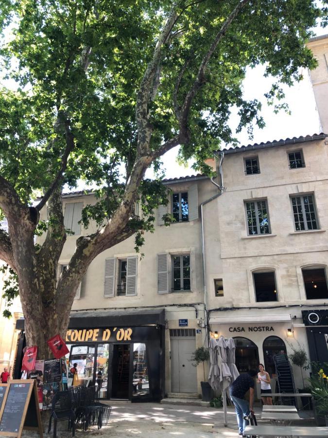Avignon hyper-centre piéton, rénové à neuf, charmant Esterno foto