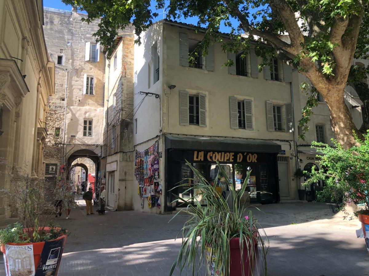Avignon hyper-centre piéton, rénové à neuf, charmant Esterno foto