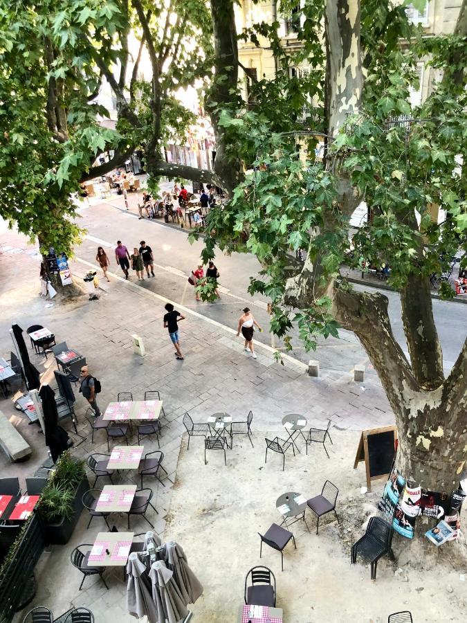 Avignon hyper-centre piéton, rénové à neuf, charmant Esterno foto