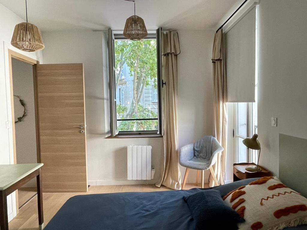 Avignon hyper-centre piéton, rénové à neuf, charmant Esterno foto