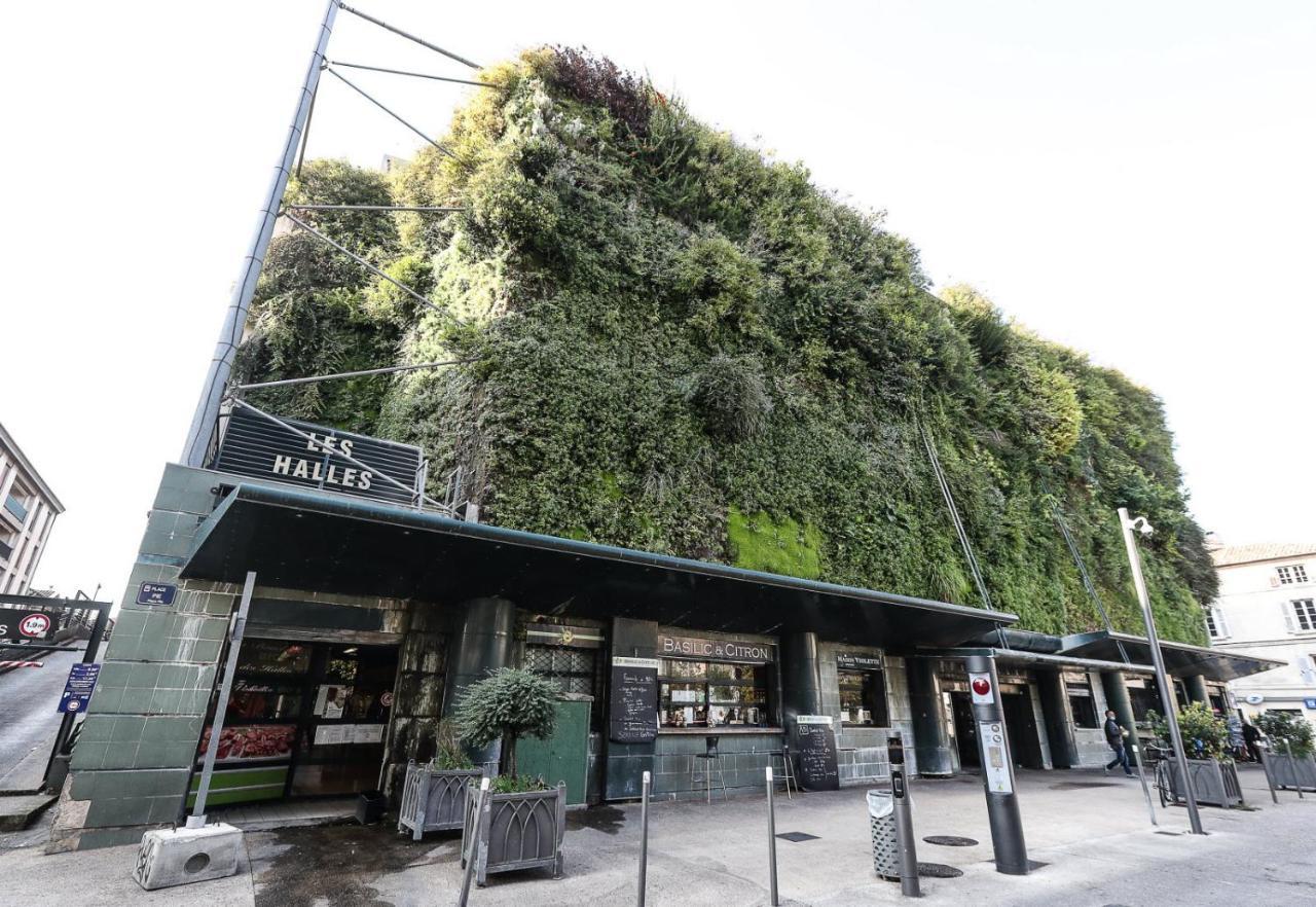 Avignon hyper-centre piéton, rénové à neuf, charmant Esterno foto