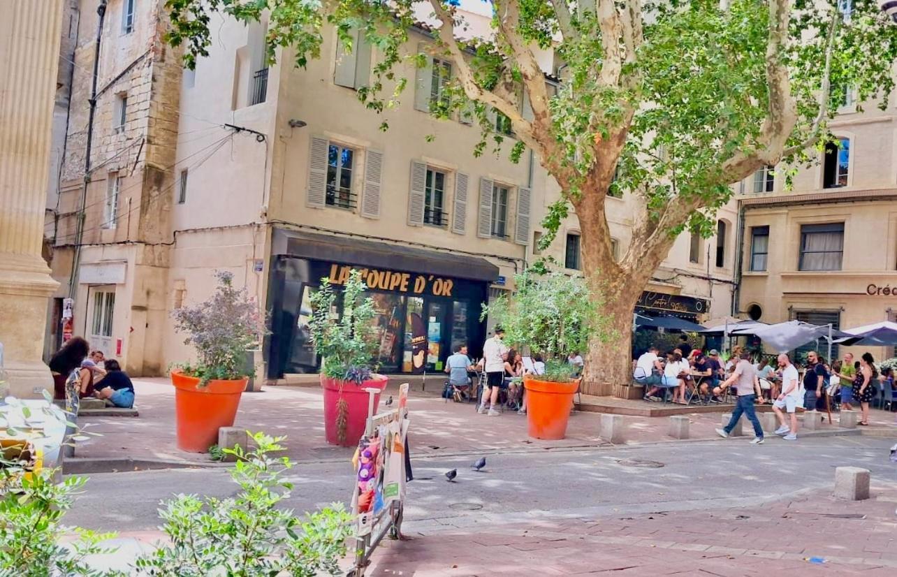 Avignon hyper-centre piéton, rénové à neuf, charmant Esterno foto