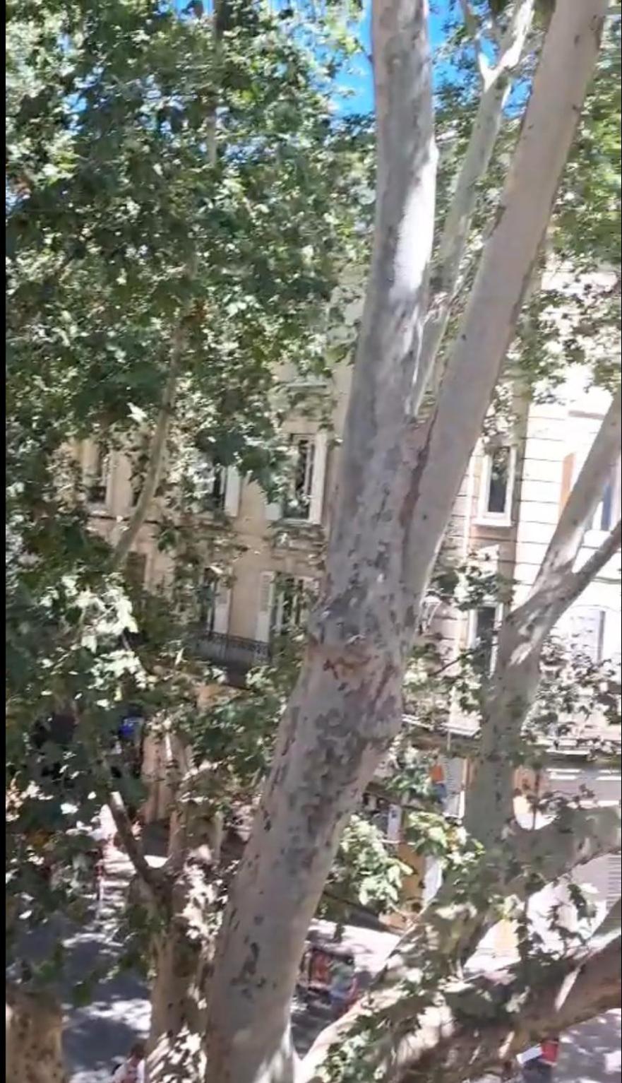 Avignon hyper-centre piéton, rénové à neuf, charmant Esterno foto